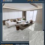 Gạch lát cao cấp AV 100502