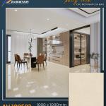 Gạch lát cao cấp AV 100502