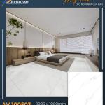 Premium Paving Tile AV 100501