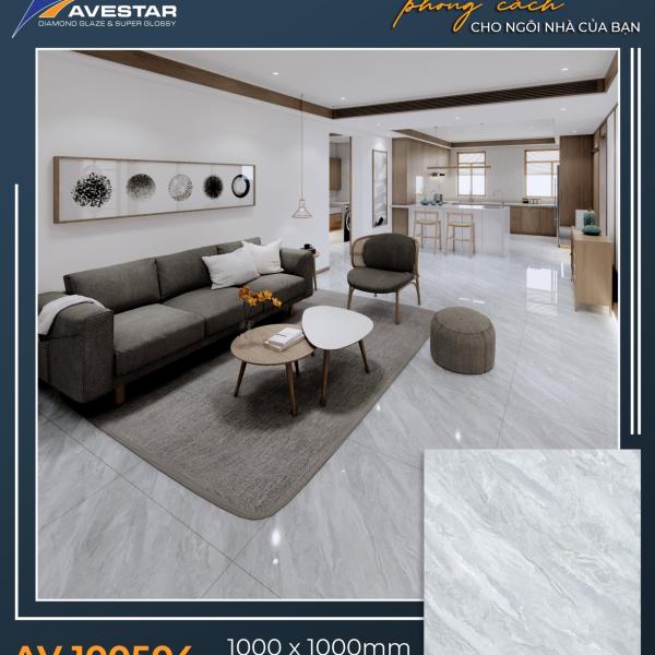 Premium Paving Tile AV 100501
