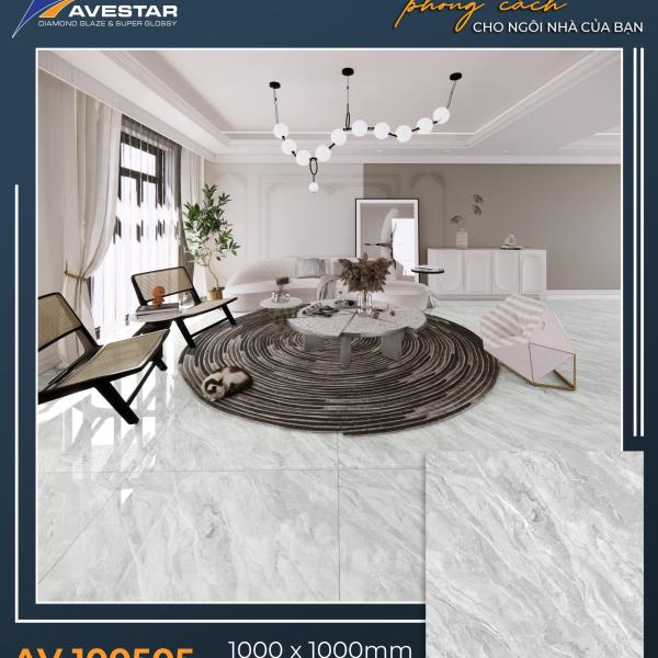 Premium Paving Tile AV 100501