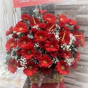 Giỏ hoa đồng tiền BNG577