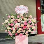 HG6 - Hạnh Phúc Viên Mãn