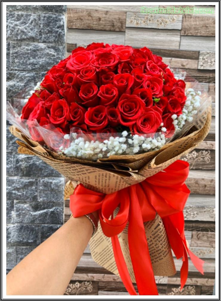 Yêu lại từ đầu - HB569