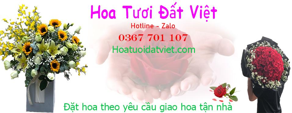 Hoa tươi đất việt